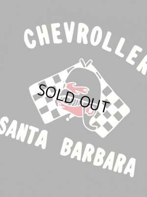 画像3: 【 JELADO（ジェラード） 】 半袖20//2 スーパー度詰め天竺Tシャツ [ Chevrollers Tee ]