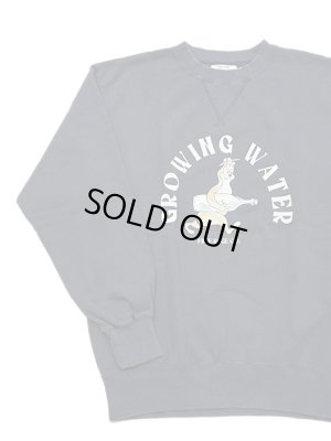 画像3: 【 FREE RAGE（フリーレイジ） 】　ユーズドライククルースウェット [ GROWING ] [ NAVY ]