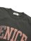 画像3: 【 FREE RAGE 】　フェードアウトTシャツ [ NICE ] [ SUMI ] 【 メール便可 】