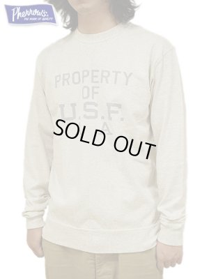 画像6: 【 Pherrow's（フェローズ） 】　スウェットタイプ T-シャツ [ スウェッT ] [ U.S.F AA ] [ NAVY ] 【 メール便可 】