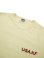 画像3: 【 Pherrow's（フェローズ） 】　刺繍T-シャツ [ USAAF ] [ S.WHITE ] 【 メール便可 】