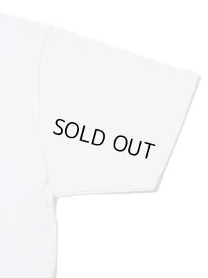 画像5: 【 メール便可 】【 JELADO（ジェラード） 】 半袖ヘビーウエイトプリントTシャツ [ Pharaohs ]