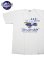 画像1: 【 BUZZ RICKSON'S（バズリクソンズ） 】　プリントT-シャツ [ S/S T-SHIRT ] [ 442nd BOMB. SQ. ] [ OFF WHITE ] 【 メール便可 】 (1)