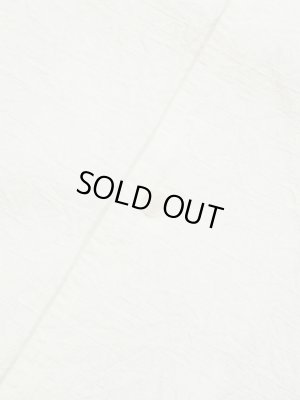 画像6: 【 JELADO（ジェラード） 】　ヴィンセントシャツ [ Vincent Shirts ] [ WHITE ]