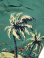 画像4: 【 SUN SURF（サンサーフ） 】　半袖アロハシャツ　S/S HAWAIIAN SHIRT　[ ISLAND PALM BREEZE ]