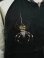 画像7: 【 港商 】　TAILOR TOYO(テーラー東洋）　SPECIAL EDITION SUKA　[ “SPIDER” × “ROARING TIGER (HAND PRINT)” ]