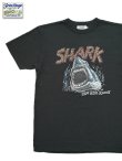 画像1: 【 FREE RAGE x Lua 】　別注プリントTシャツ 　[ Shark x W.Stock ] [ SUMI ] 【 メール便可 】