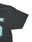 画像5: 【 FREE RAGE 】　プリントTシャツ [ No.25 ] [ SUMI ] 【 メール便可 】