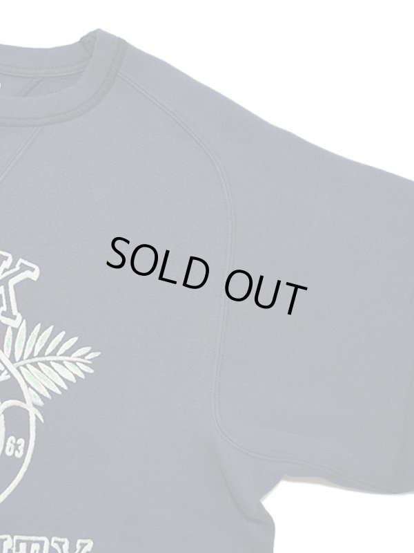 画像5: 【 JELADO（ジェラード） 】 電着フロッキープリントスウェット [ Fink University Sweat ] [ Old Navy  ]