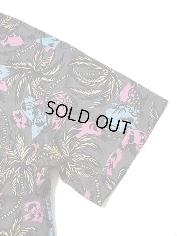 画像5: 【 JELADO（ジェラード） 】　ハリウッド　[ Hollywood ]　[ ASH ]