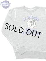 画像: 【 BUZZ RICKSON'S（バズリクソンズ） 】 セットインクルースウェット SET-IN CREW SWEAT [ SKUNK WORKS ] [ NEVADA AIR NATIONAL GUARD ]