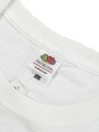 画像6: 【 FRUIT OF THE LOOM（フルーツオブザルーム） 】Homage T-Shirts [ DELORIS ] [ WHITE ] 【 メール便可 】