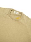 画像3: 【 ORGUEIL（オルゲイユ） 】 コットンニット T-Shirt  [ High Gauge Cotton Knit T-Shirt ] [ BEIGE ] 【 メール便可 】 