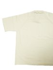 画像2: 【 ORGUEIL（オルゲイユ） 】 コットンニット T-Shirt  [ High Gauge Cotton Knit T-Shirt ] [ OFF WHITE ] 【 メール便可 】