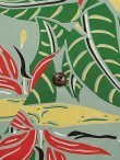 画像7: 【 SUN SURF（サンサーフ） 】　半袖アロハシャツ　S/S HAWAIIAN SHIRT　[ BIRD OF PARADISE ]　[ GREEN ]